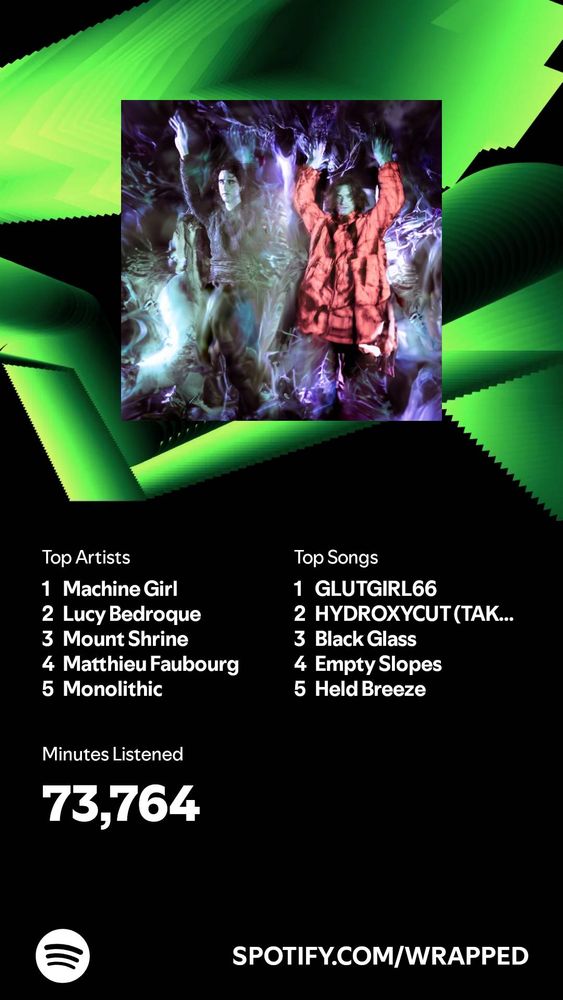 screenshot of a Spotify wrapped result. the top artists are 1. Machine girl 2. Lucy Bedroque 3. Mount shrine 4. Matthieu faubourg 5. Monolithic. the screenshot also shows 73,764 minutes listened in total