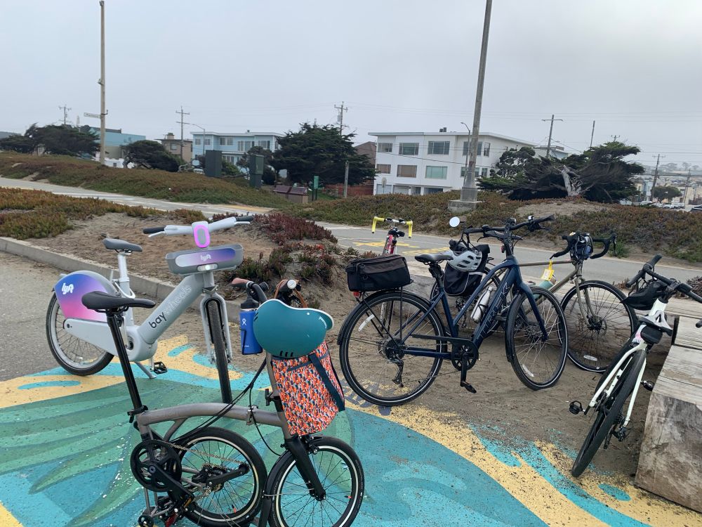 A grouping of bikes on a pathway 