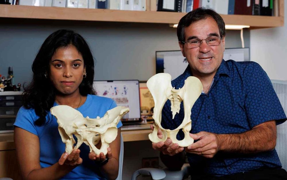 Solving evolutionary mystery of how humans came to walk upright