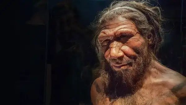 Do you get frequent headaches?
Study links Neanderthal DNA to
headaches in modern humans