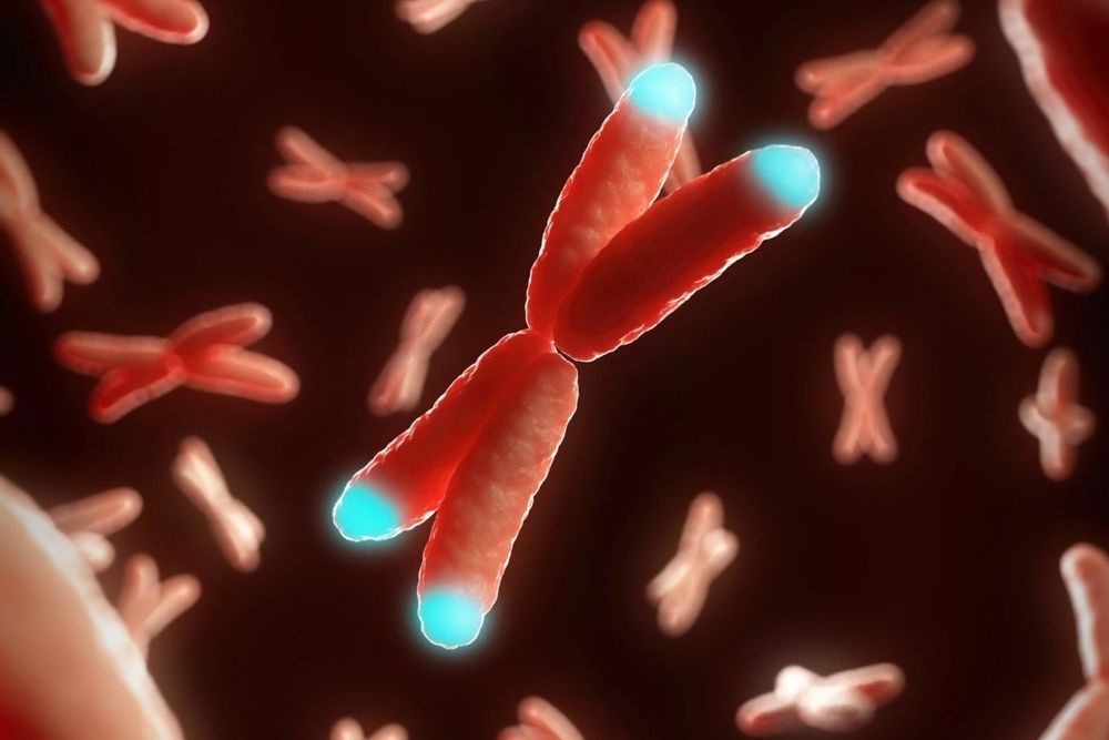 Human-Specific Gene Duplications May Hold Clues to Brain Function and Evolution