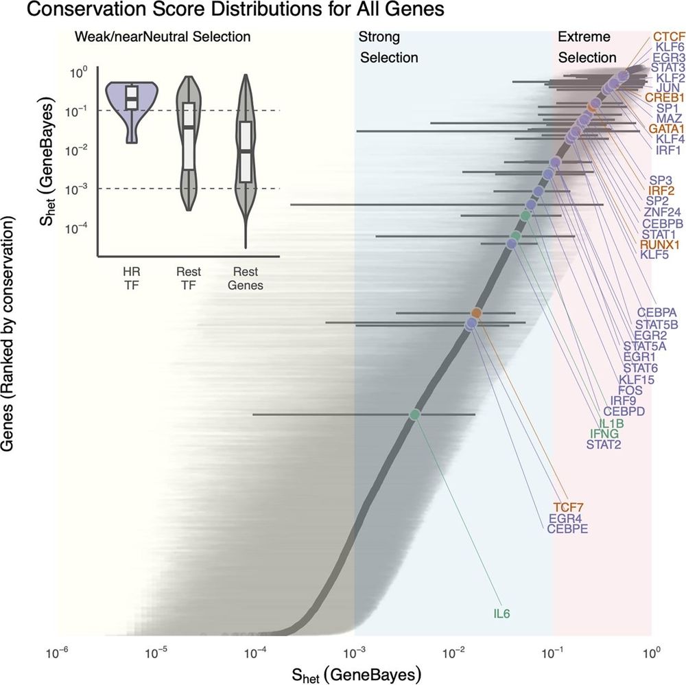 Genetics and Genomics
Rewiring the bone marrow: Evolution and the transcriptional architecture of trained immunity