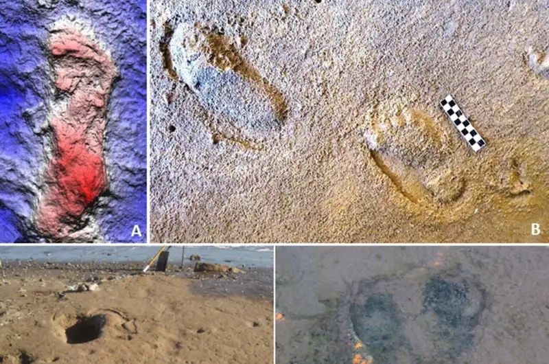 Ancient footprints reveal Neanderthal family hunts on beaches