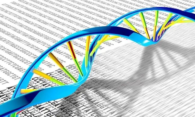 New mutation hotspot discovered in human genome