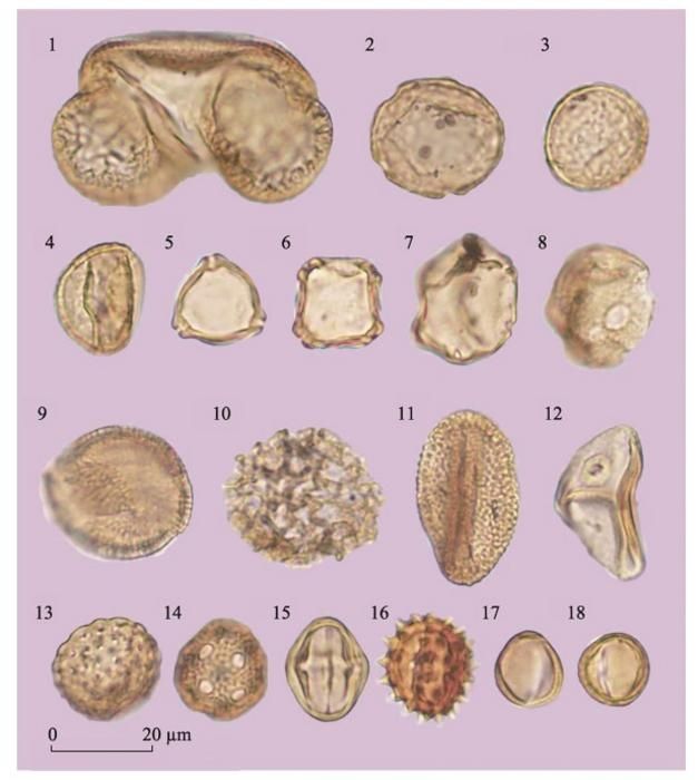 An ecological perspective on the changes of stone tools: How late Pleistocene climate change shaped hominin life in South
