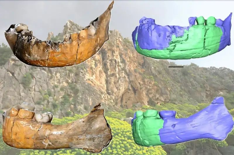 New analysis of the Skhūl I skull: One of the oldest human burials in the world