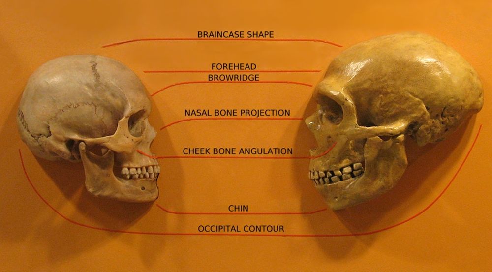 Why are current humans overwhelmingly the descendants of a late migration out of Africa?