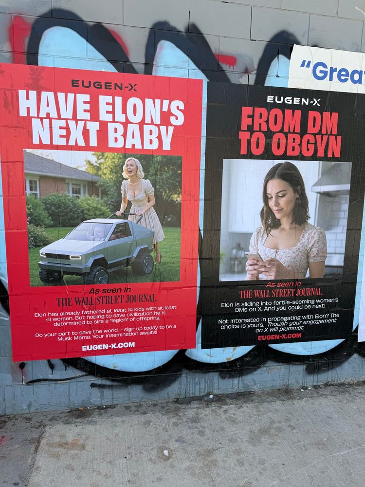 Advertisements to “have Elon’s next baby.”