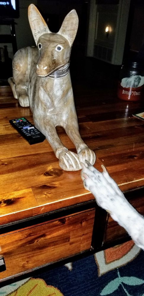 Greyhound paw reaches out to carved greyhound.