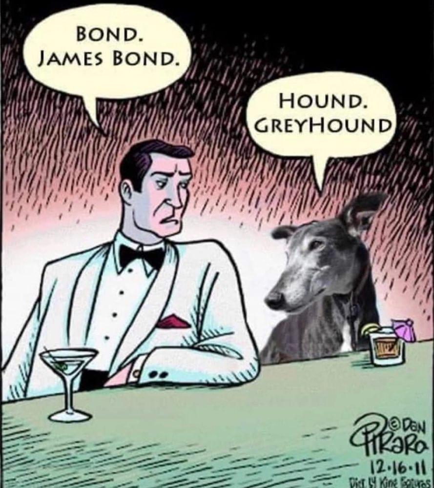 Greyhound cartoon.