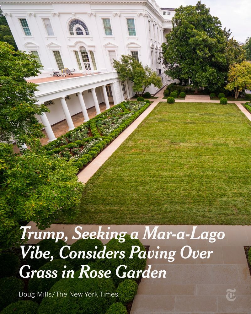 A photo of the White House rose garden. A headline reads: “Trump, Seeking a Mar-a-Lago Vibe, Considers Paving Over Grass in Rose Garden.” Photo credit: Doug Mills for The New York Times.