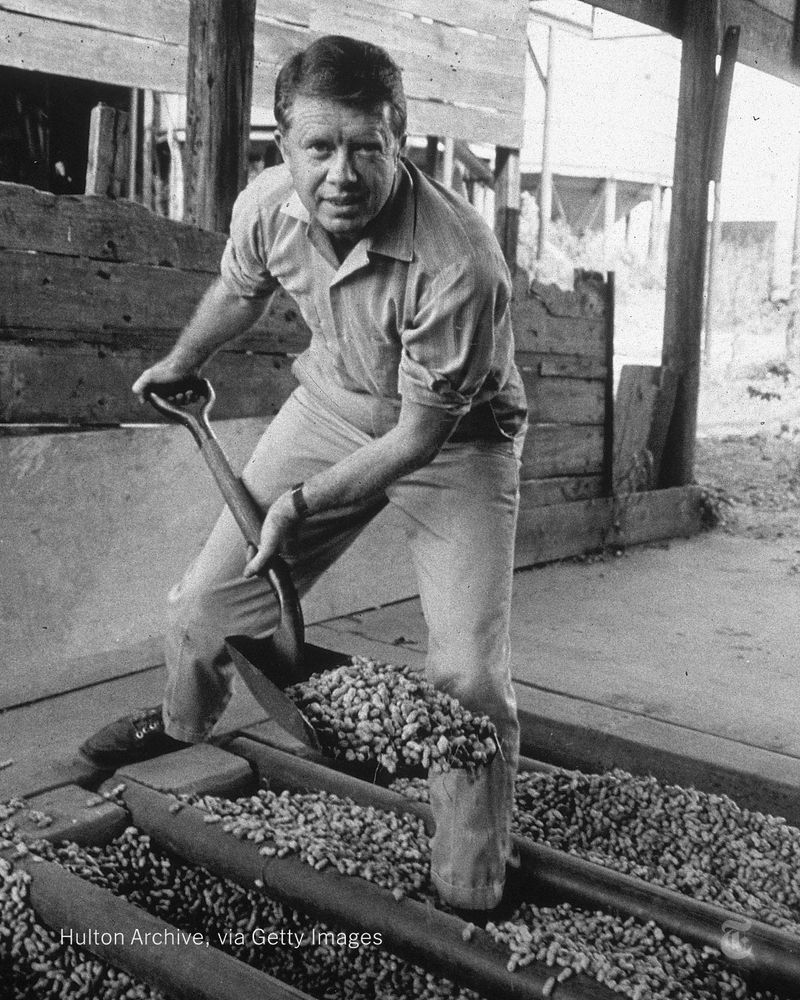 A young Jimmy Carter, photographed in black and white, scooping peanuts with a shovel. Photo by Hulton Archive, via Getty Images 