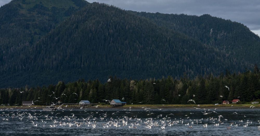Alaska Weather Office Issues Its First Heat Warning