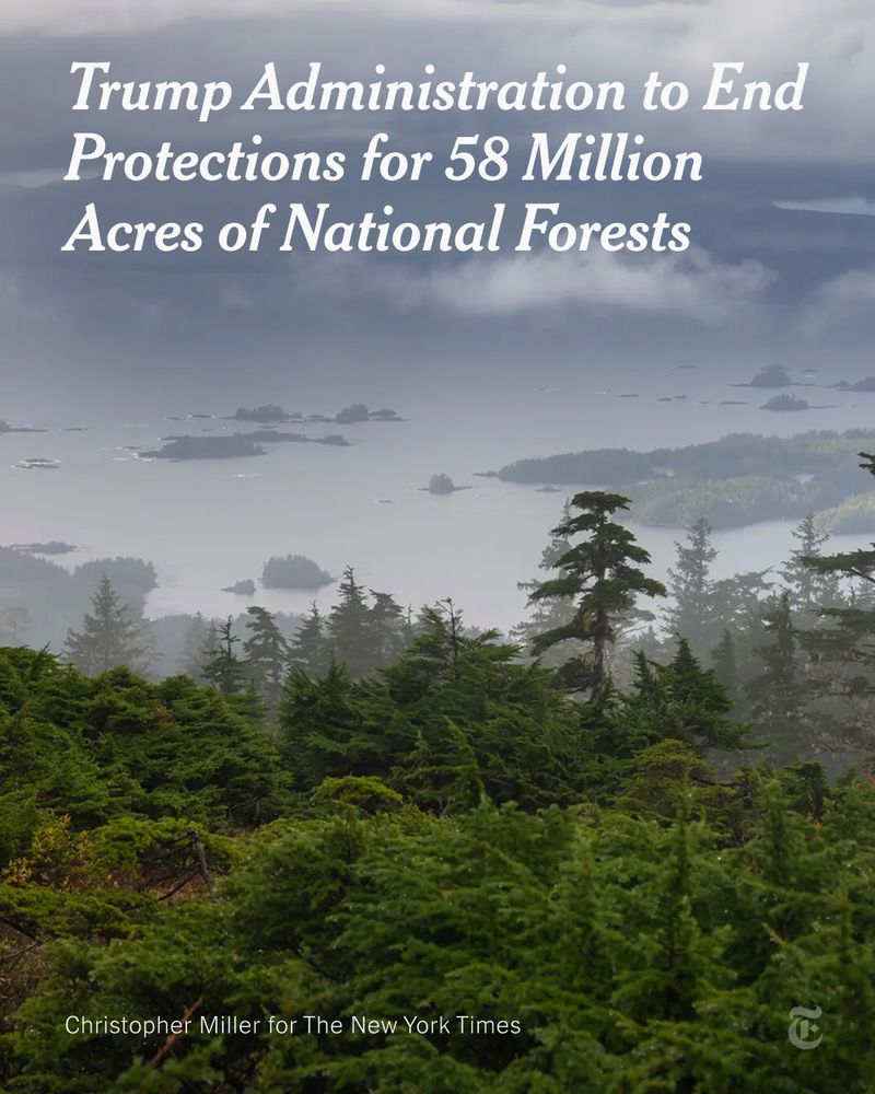 A view from high ground looking downhill over forest land toward a body of water dotted with islands. Text reads: Trump Administration to End Protections for 58 Million Acres of National Forests. Photo credit: Christopher Miller for The New York Times