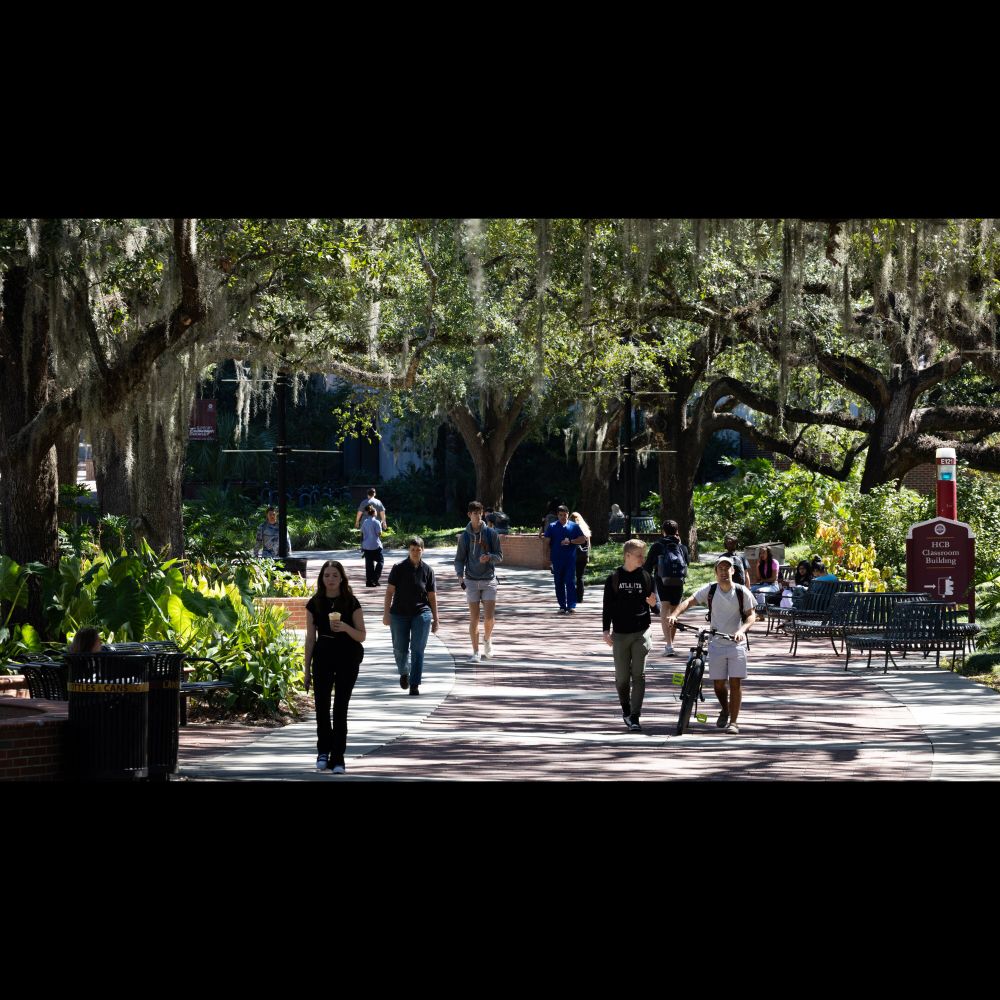 In Florida’s Hot Political Climate, Some Faculty Have Had Enough