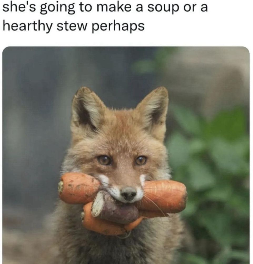 a fox with carrots in their mouth, text above reads “she’s going to make a soup or a hearty stew perhaps”