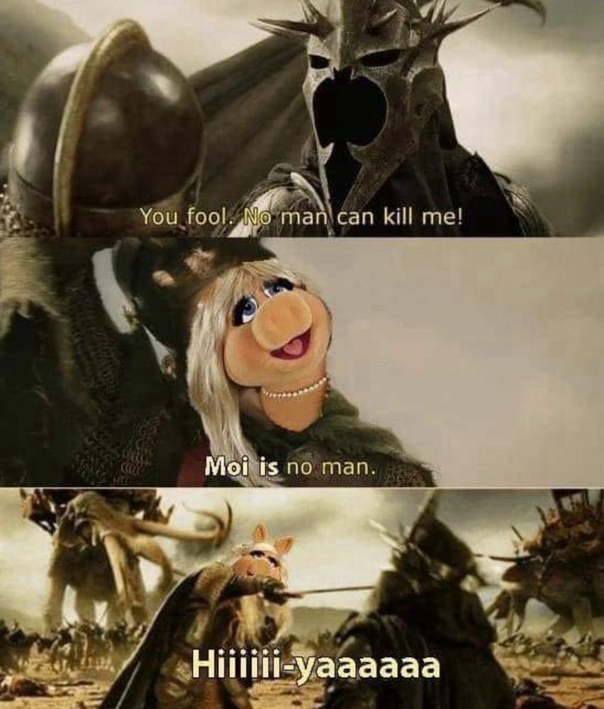 Éowyn killing the witch king of angmar with a sword but instead of her face its miss piggy 

captions read “you fool. no man can kill me!”

“moi is no man.”

“hiiiii-yaaaaaa”