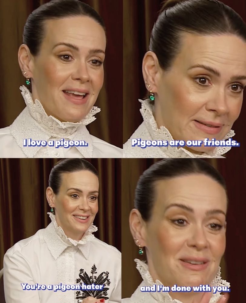 Sarah Paulson being interviewed saying:
I love a pigeon. Pigeons are our friends. You’re a pigeon hater and i’m done with you. 