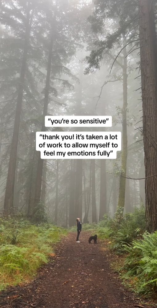 A person and a dog are standing on a foggy forest trail surrounded by tall trees and dense greenery. The person is looking upward, while the dog is nearby. Overlay text on the image reads: 
- "you're so sensitive"
- "thank you! it's taken a lot of work to allow myself to feel my emotions fully"