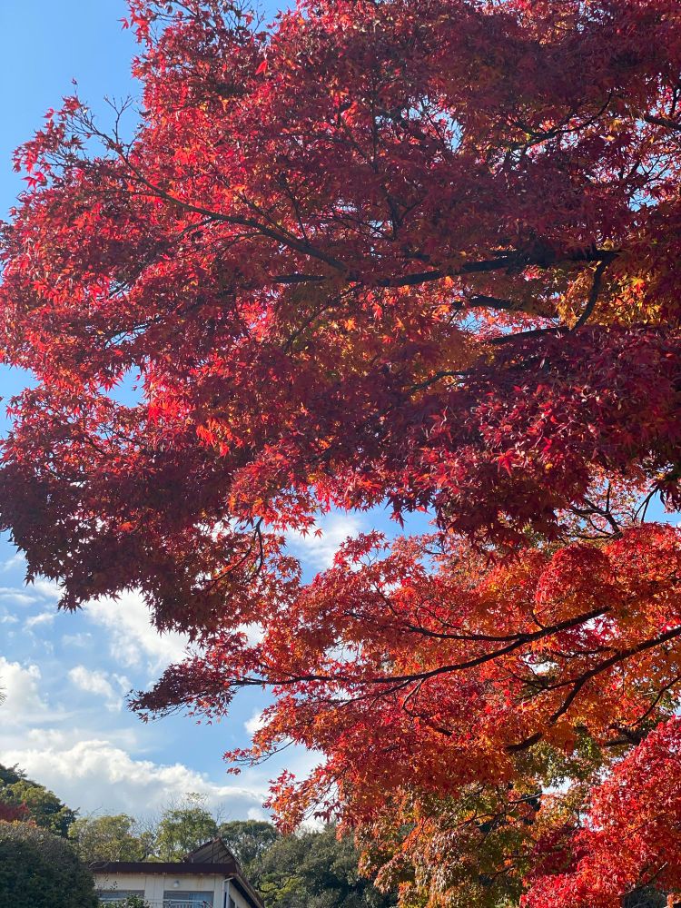 さすが日曜日だけあって人が多かったです