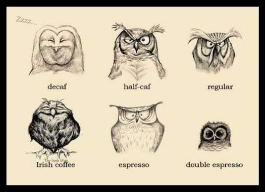 Coffee owls
