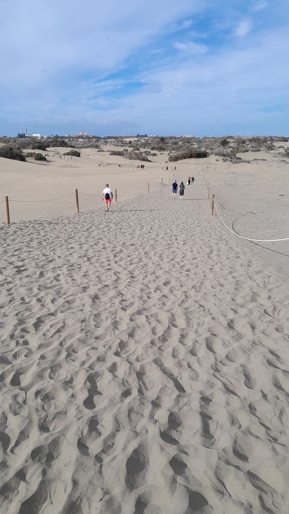 Marked out path through sand dunes.