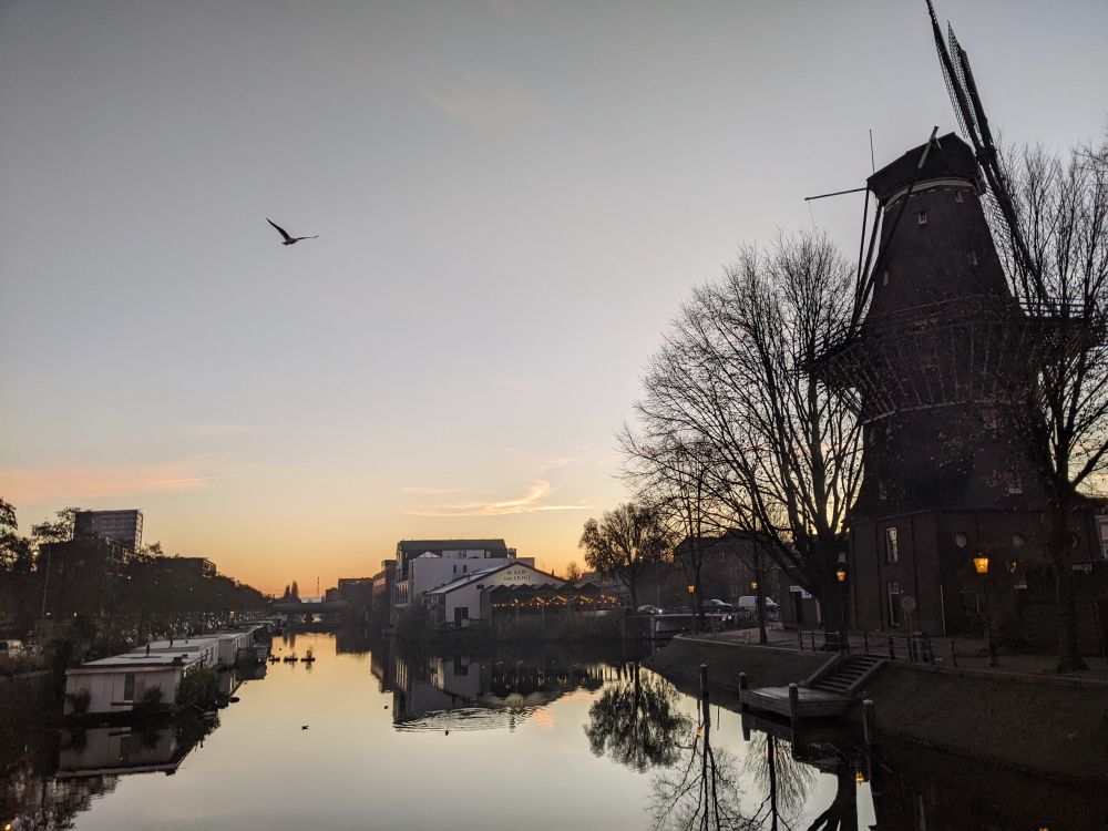 Scene of canal in Amsterdam at dawn, with windmill, buildings, trees and a gull