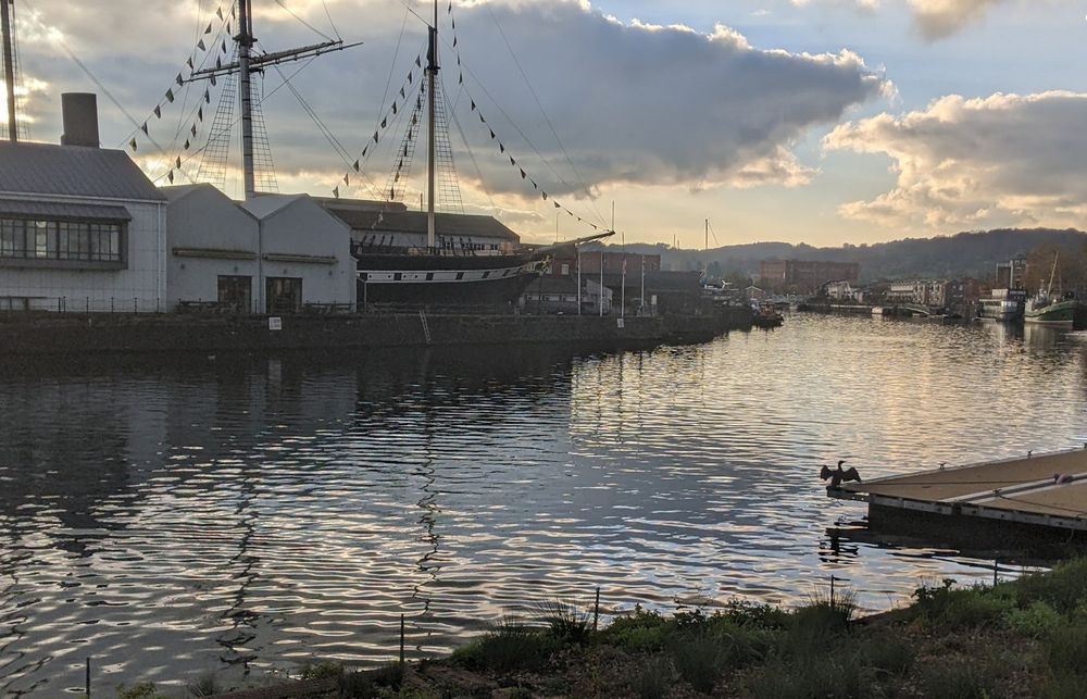 View of cormorant drying its wings by the Bristol harbour: light reflecting off the water