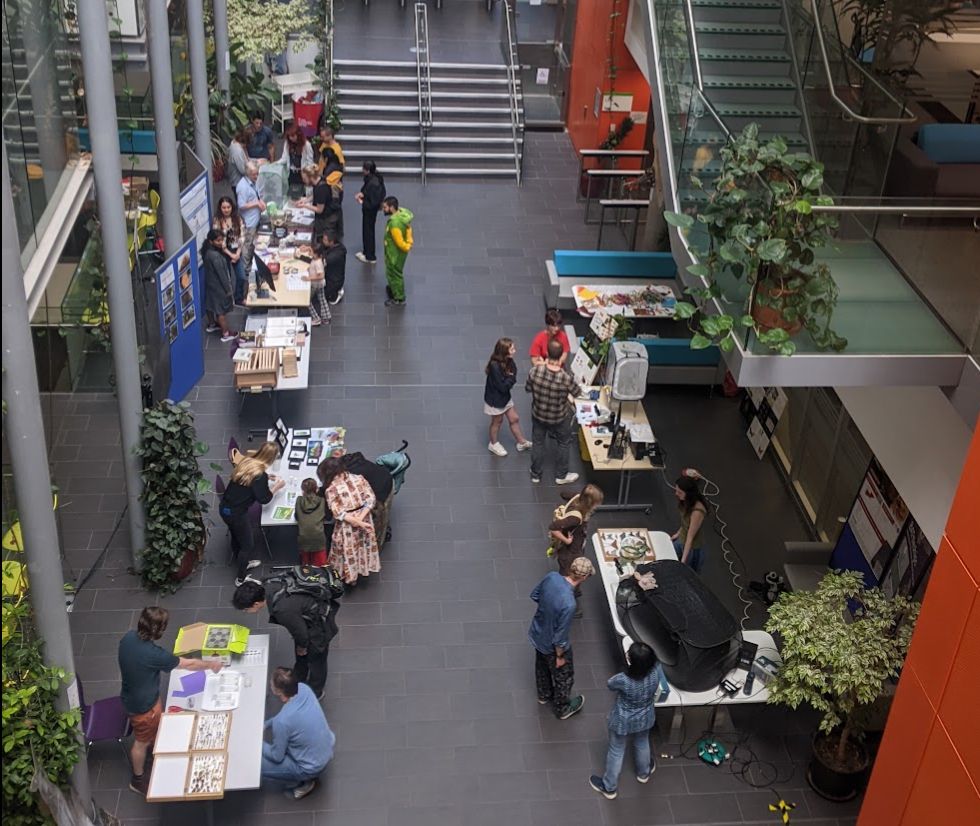 high up view of people visiting insect week event