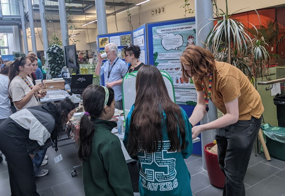 children visiting insect display