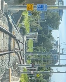 TRAMS
35km/hr straight (into terminus platform and storage track) and 25km/hr into second terminus platform at Carlingford stop. 