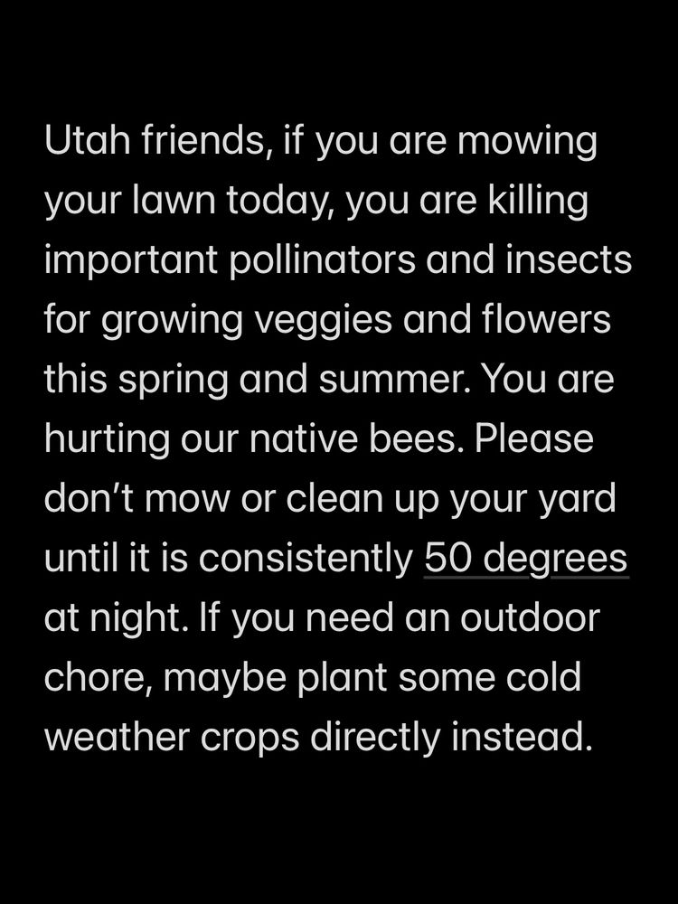 Utah friends, if you are mowing your lawn today, you are killing important pollinators and insects for growing veggies and flowers this spring and summer. You are hurting our native bees. Please don’t mow or clean up your yard until it is consistently 50 degrees at night. If you need an outdoor chore, maybe plant some cold weather crops directly instead