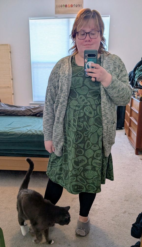 A selfie taken in a full-length mirror of a nonbinary person in their bedroom. They are fat and have reddish hair in a shag haircut and wear glasses. They are wearing a green dress with a print of fossils, a green and white marled cardigan, black leggings, and Totoro slippers. A gray cat is walking at their feet.
