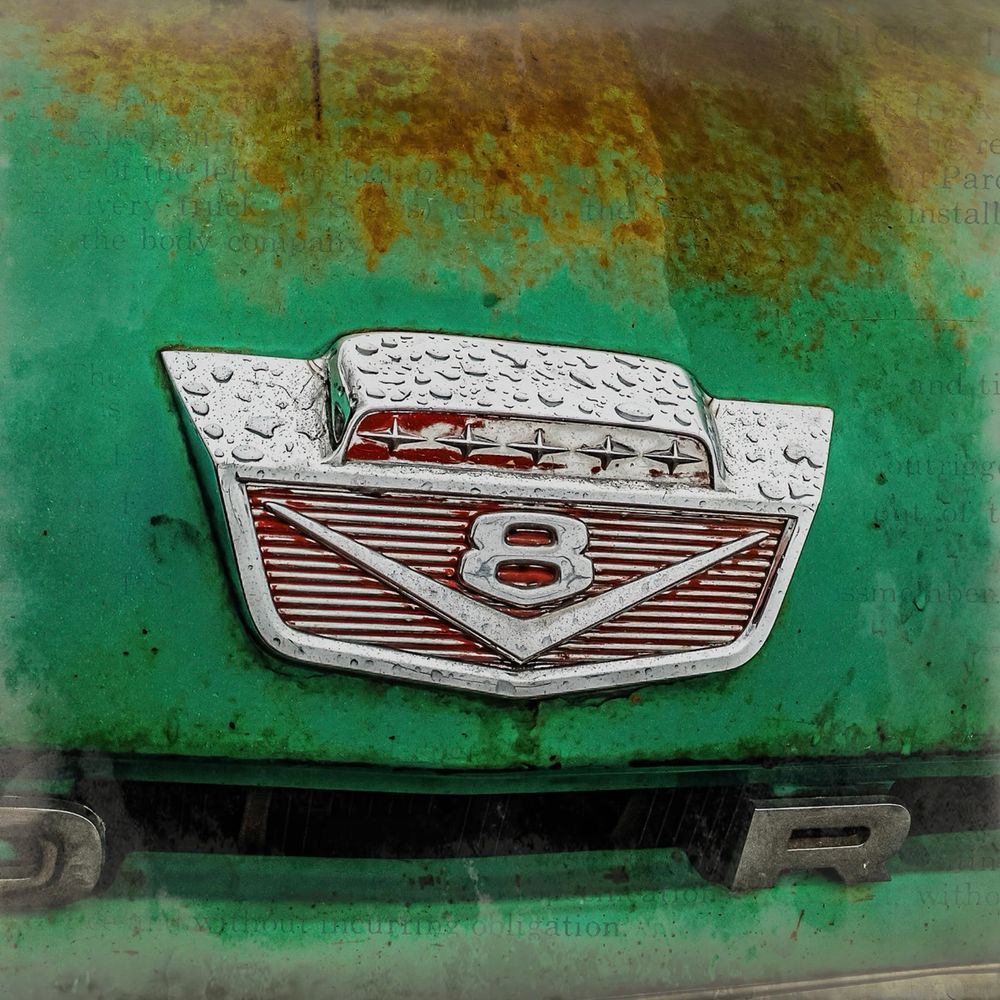 The hood of an old Ford pickup truck.
