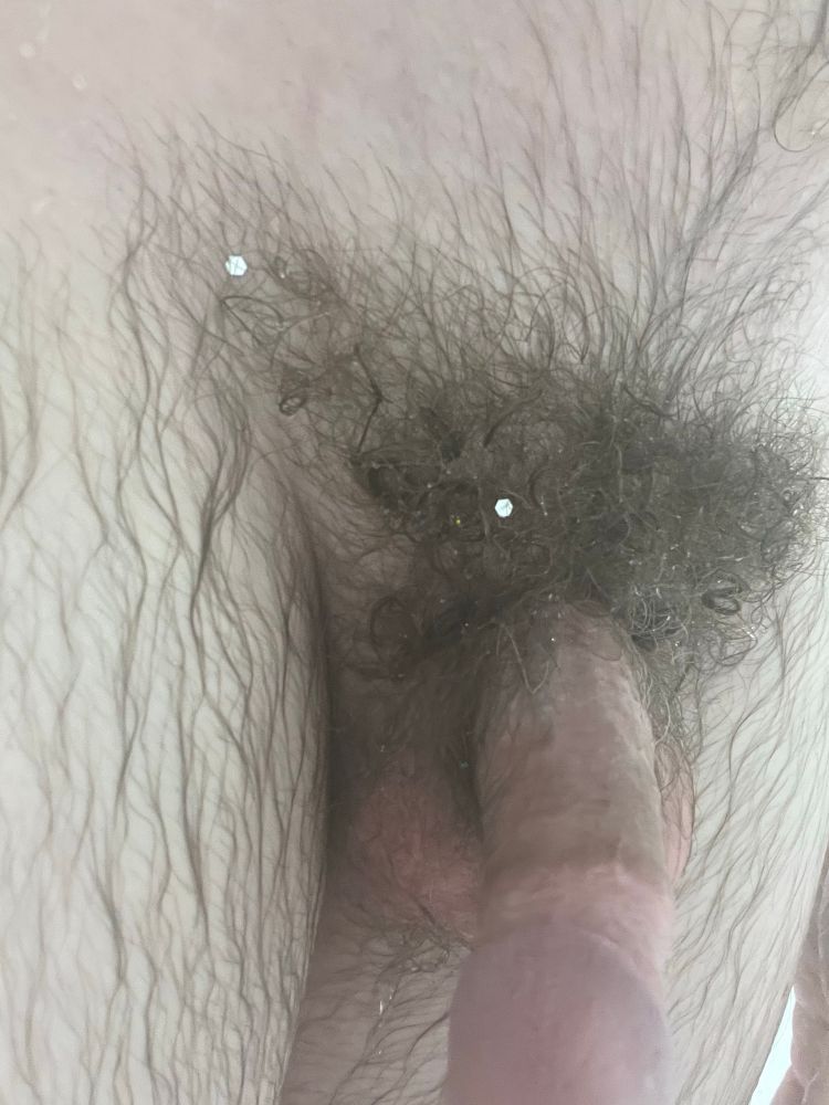 Close-up pic of a dick. Hairy legs and a full bush are wet from a shower. There is glitter caught in the pubes