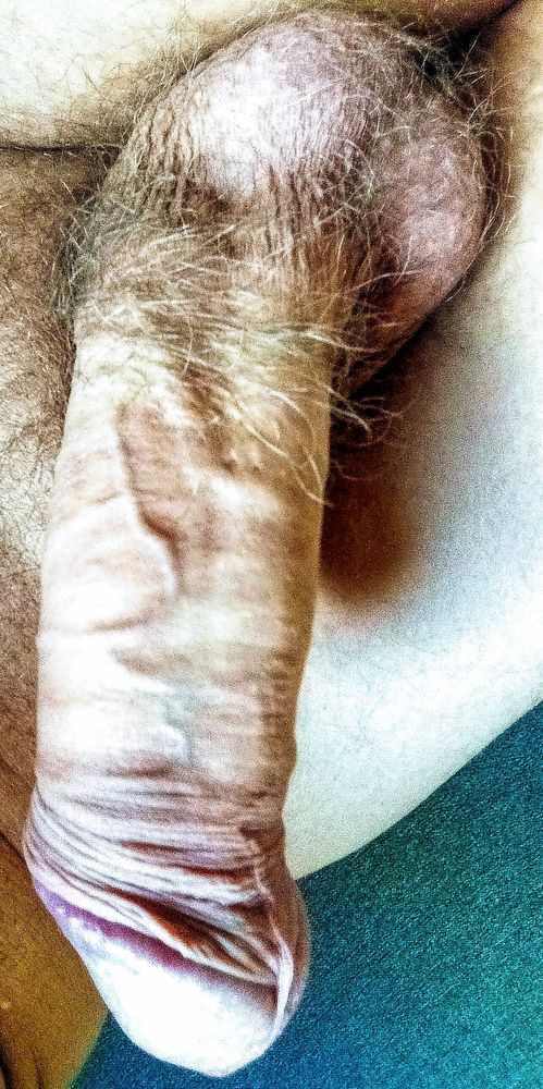Mon sexe en érection en couleur.