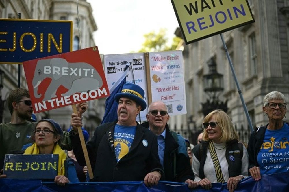 I manifestanti chiedono che il Regno Unito entri nell’Unione Europea