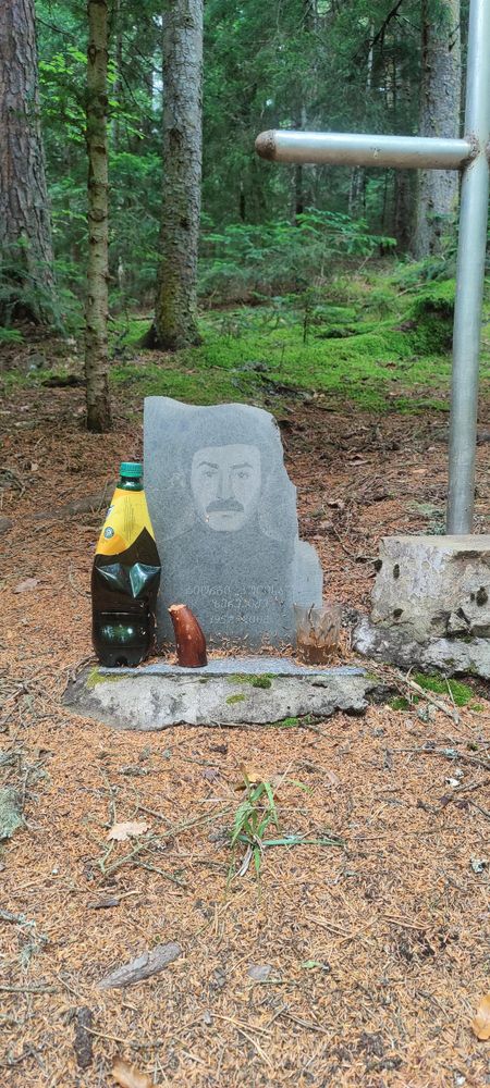 Sono curioso di sapere a chi è dedicato questo memoriale: si trova nel Parco nazionale Borjomi e Kharagauli