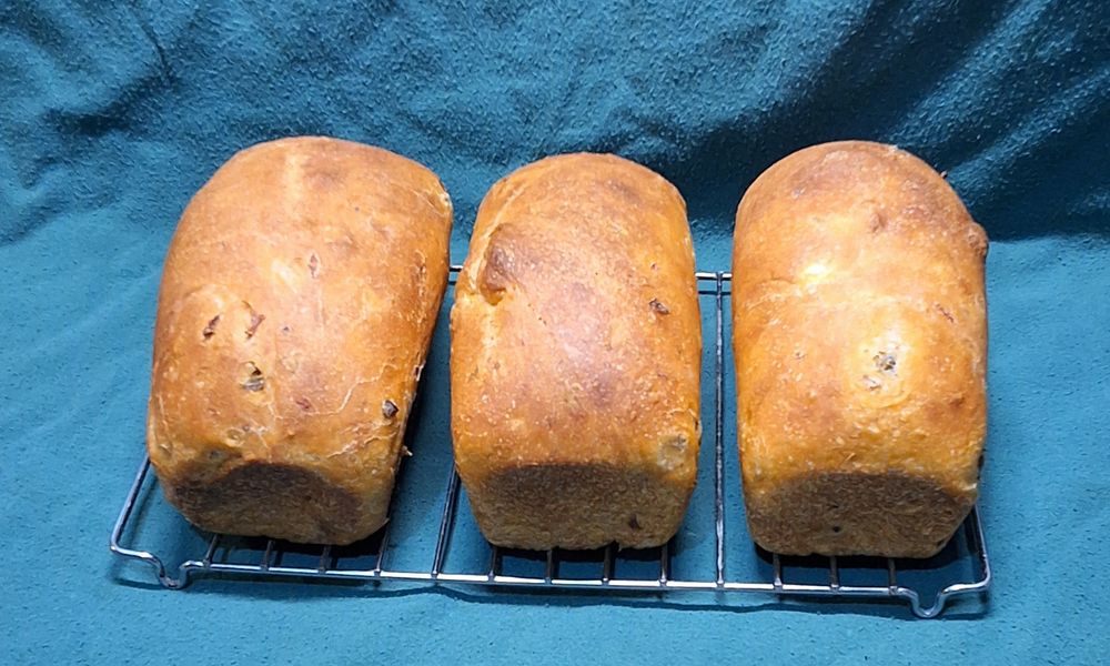 Sourdough Salsa Bread