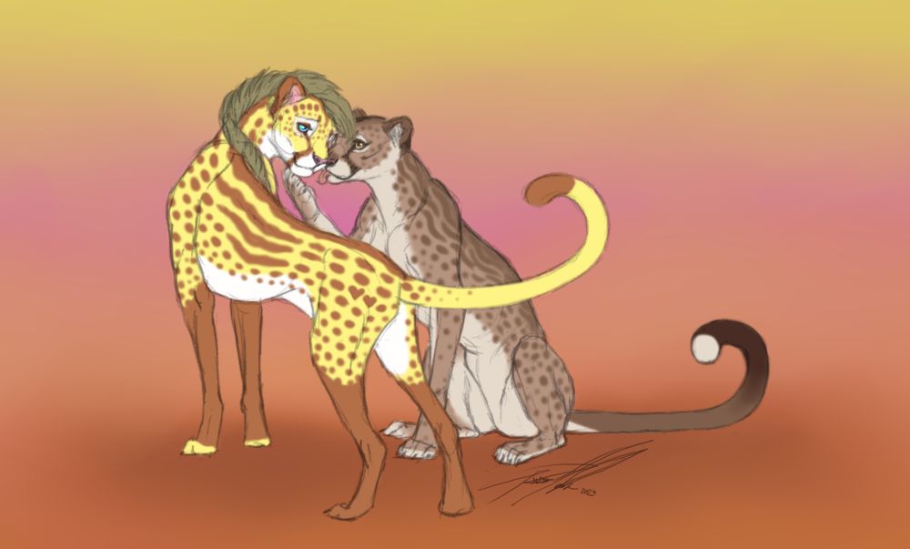 A sketch of two king cheetahs kanoodling.
One is golden yellow with chestnut markings, the other is light brown with dark brown markings 