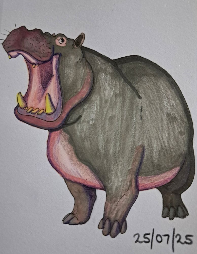 An illustration of a hippo with its mouth open. Done with fineliner, alcohol markers and coloured pencils.