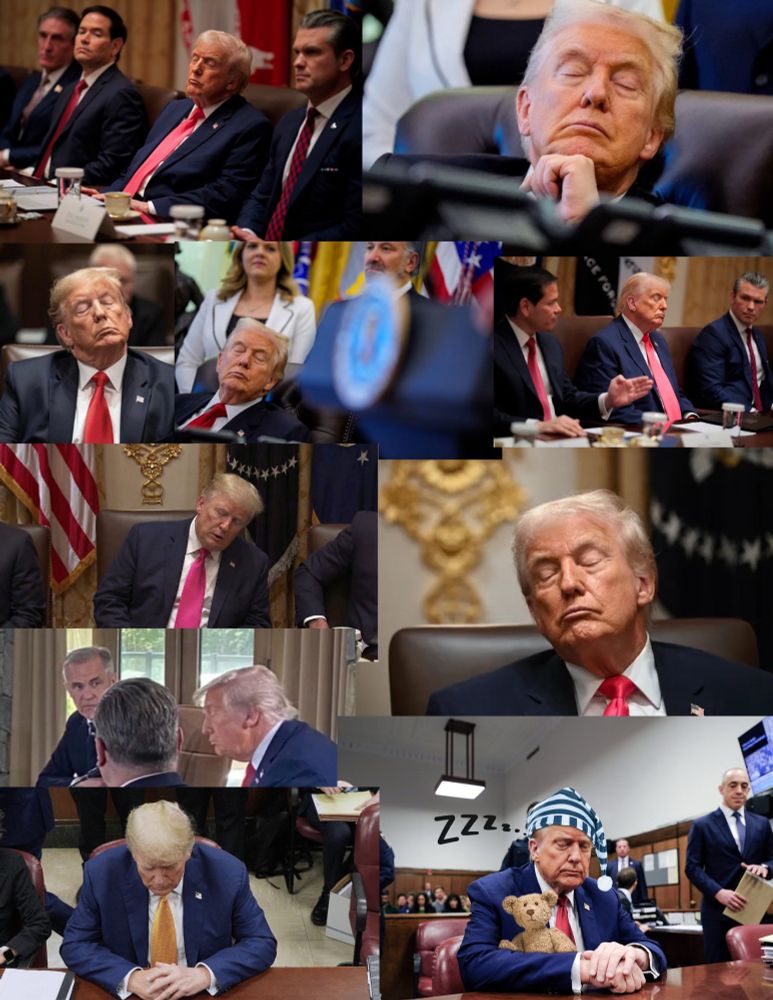 A collage of ten photos each showing President Trump sleeping in official meetings. One has a sleeping cap and teddy bear artificially added.