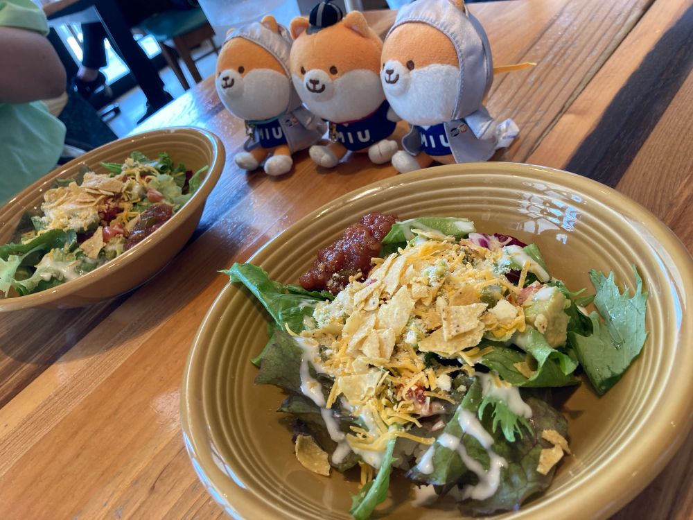 テーブルの上のタコライスの写真。お皿の奥には3匹のポリまるぬいぐるみが座っている。