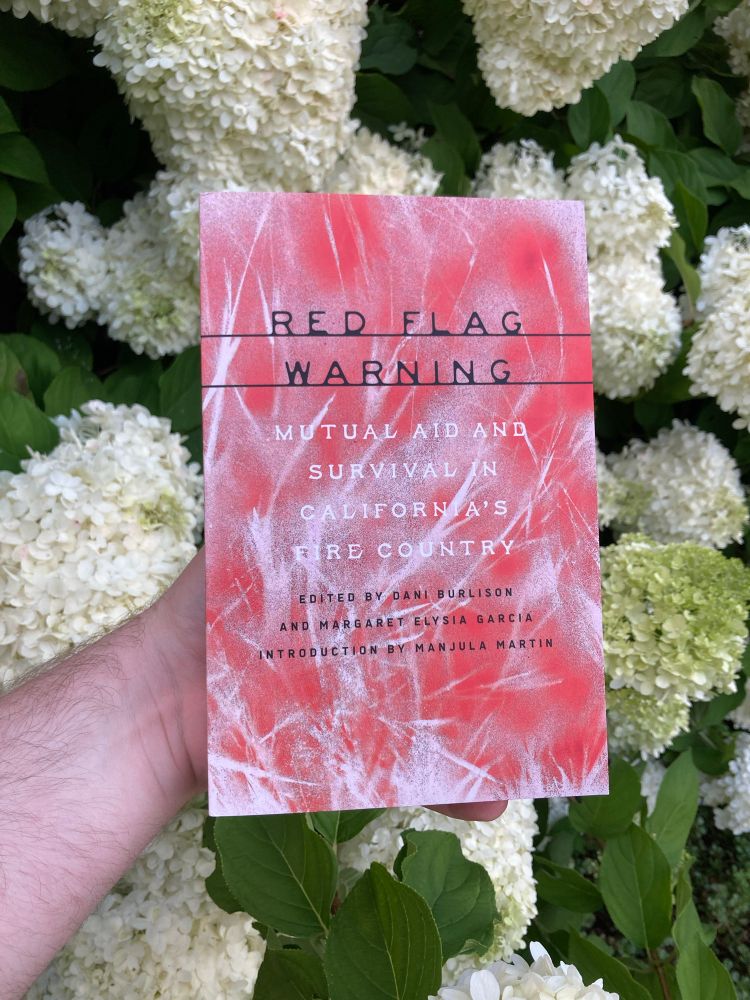 My arm holding up a red book in front of a chrysanthemum bush. Book is Red Flag Warning: Mutual Aid and Survival in California’s Fire Country by DANI BURLISON