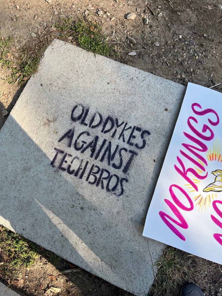 a picture of a concrete slab in Boston Common, with a spray-painted stenciled message reading “OLD DYKES AGAINST TECH BROS”