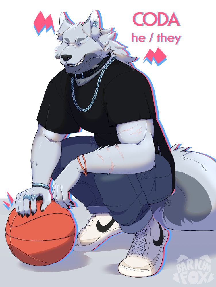Coda, a white and grey wolf, crouched and holding down a basketball against the floor, smiling.
