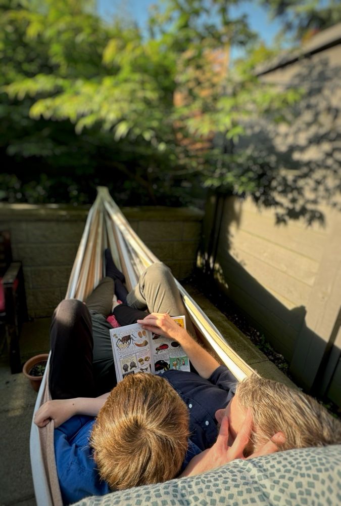 A dad and tween kid snuggled in a hammock reading a book, viewed so their heads but not faces are visible. The book could be read if zoomed in. It is about spiders. The hammock is on a small patio with greenery surrounding it. The summer evening sun washes it all in a gentle warm light.