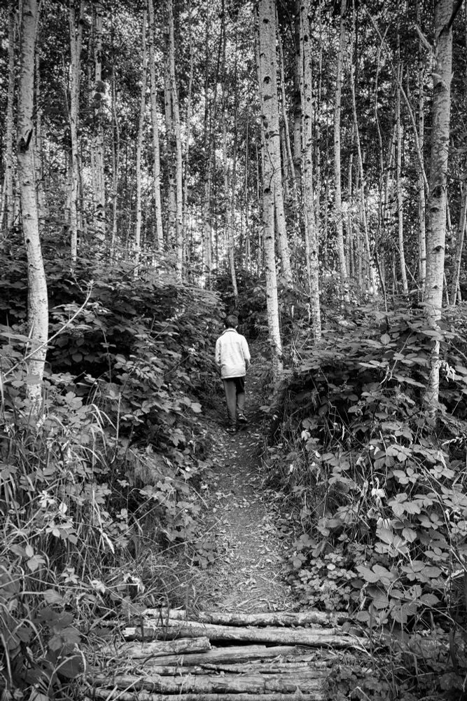 A trail into a forest. The sides are dense with bushes, and small logs lay across the entry of the trail, which help you hop over the muddy bits during rainy season. Trees rise with eerie thin light grey trunks, and leaves only up at the top canopy layer. The back of a child is visible, walking up the inclined trail into the forest. The pic is all in black and white.