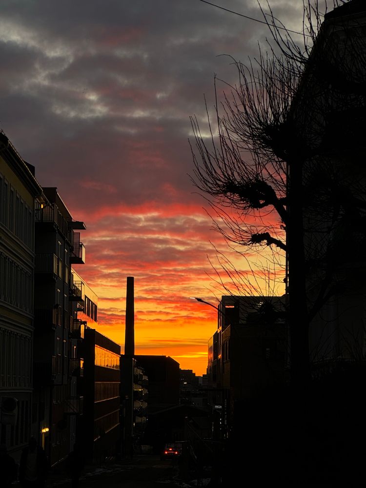 beautiful sunset in Oslo 