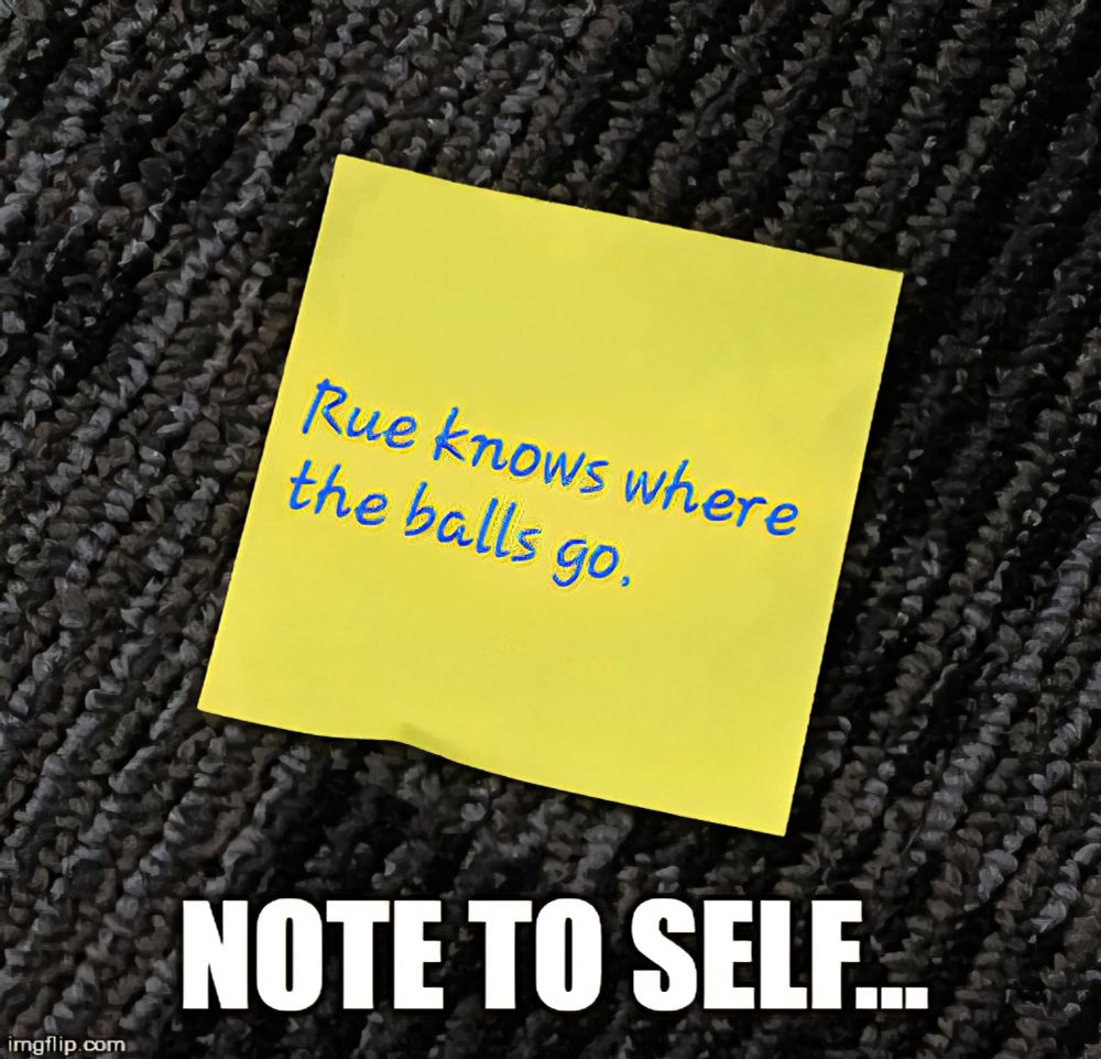 Meme wording at bottom which states: NOTE TO SELF...
Picture of yellow post it note with blue writing that states 'Rue knows where the balls go.'